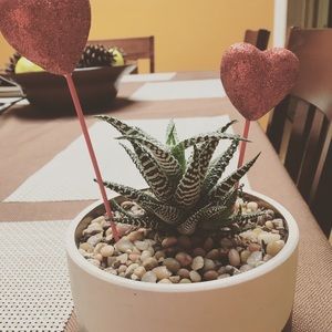 Meet your Posher, Cristy